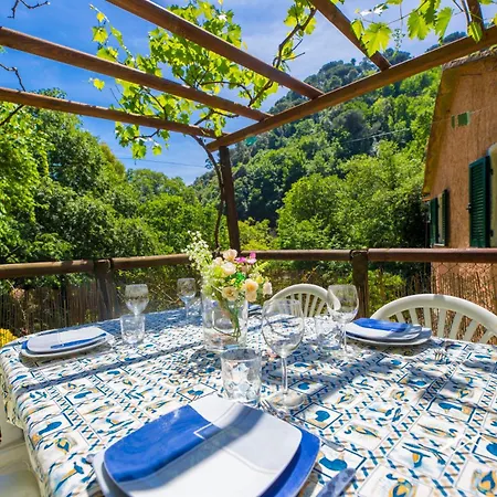 | 1br | Ac | Paraggi | Peaceful Retreat | By Tilo *