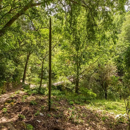 | 1br | Ac | Paraggi | Peaceful Retreat | By Tilo Apartmán *