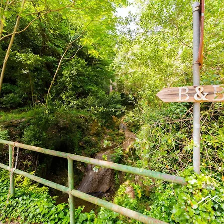 | 1br | Ac | Paraggi | Peaceful Retreat | By Tilo
