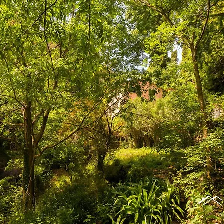 | 1br | Ac | Paraggi | Peaceful Retreat | By Tilo